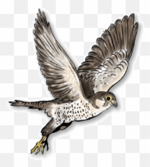 Clipart Falcon Flying Transparent Png Images - Yourpngcom Emoji,Falcons Emojis
