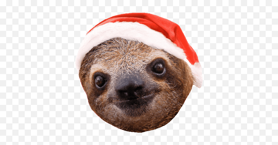 Top Darksiders 3 Sloth Stickers For - Christmas Sloth Gif Emoji,Sloth Emoji Android