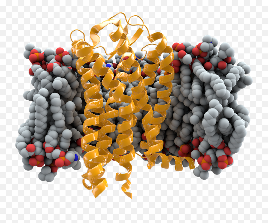 Steemit - Ccr5 Transmembrane Protein Receptor Emoji,Periodt Hand Emoji