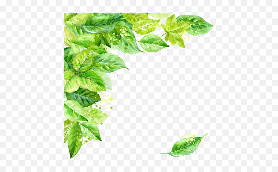Leaf Frame Transparent Background Png Svg Clip Art For Web - Transparent Leaf Background Png Emoji,Leaves Emoji Png