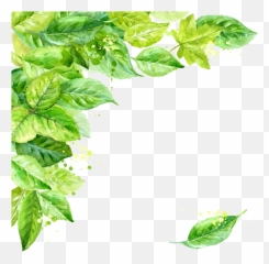 Leaf Frame Transparent Background Png Svg Clip Art For Web - Transparent Leaf Background Png Emoji,Leaves Emoji Png