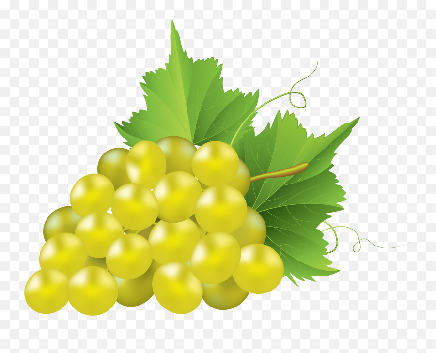 Mq Green Grape Grapes Fruit Sticker - White Grape Png Emoji,Grape Emoji