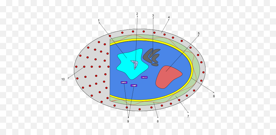 Chapter Two U2013 Site Title - Diatom Cell Emoji,Osmosis Health Furnace Emotion