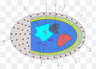 Chapter Two U2013 Site Title - Diatom Cell Emoji,Osmosis Health Furnace Emotion