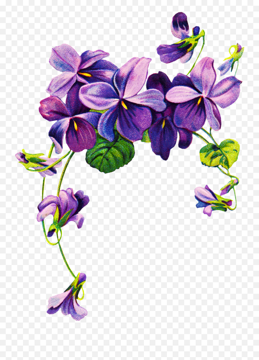 Violet Flower Png Violet Flower Png - Tattoo Violet Flower Emoji,Violet Flower Emoji
