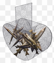 Download Fish Trap Emoji,Trap Emojis Png