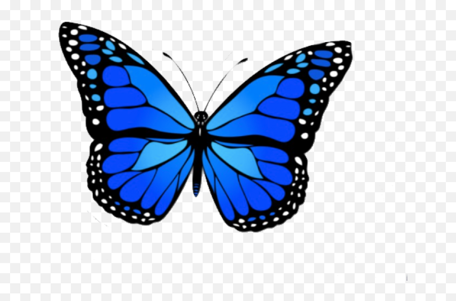 Blue Butterfly Png Emoji,2 Blue Butterfly Emojis