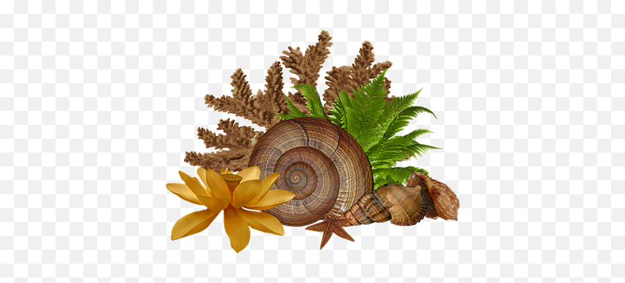 200 Free Snail U0026 Animal Illustrations Emoji,Slug Emoji Png