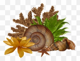 200 Free Snail U0026 Animal Illustrations Emoji,Slug Emoji Png