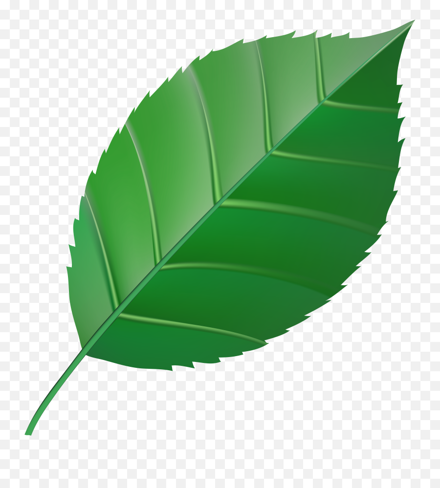 Green Leaf Transparent Clip Art Image Gallery Yopriceville Emoji,Green Leaf Emoji
