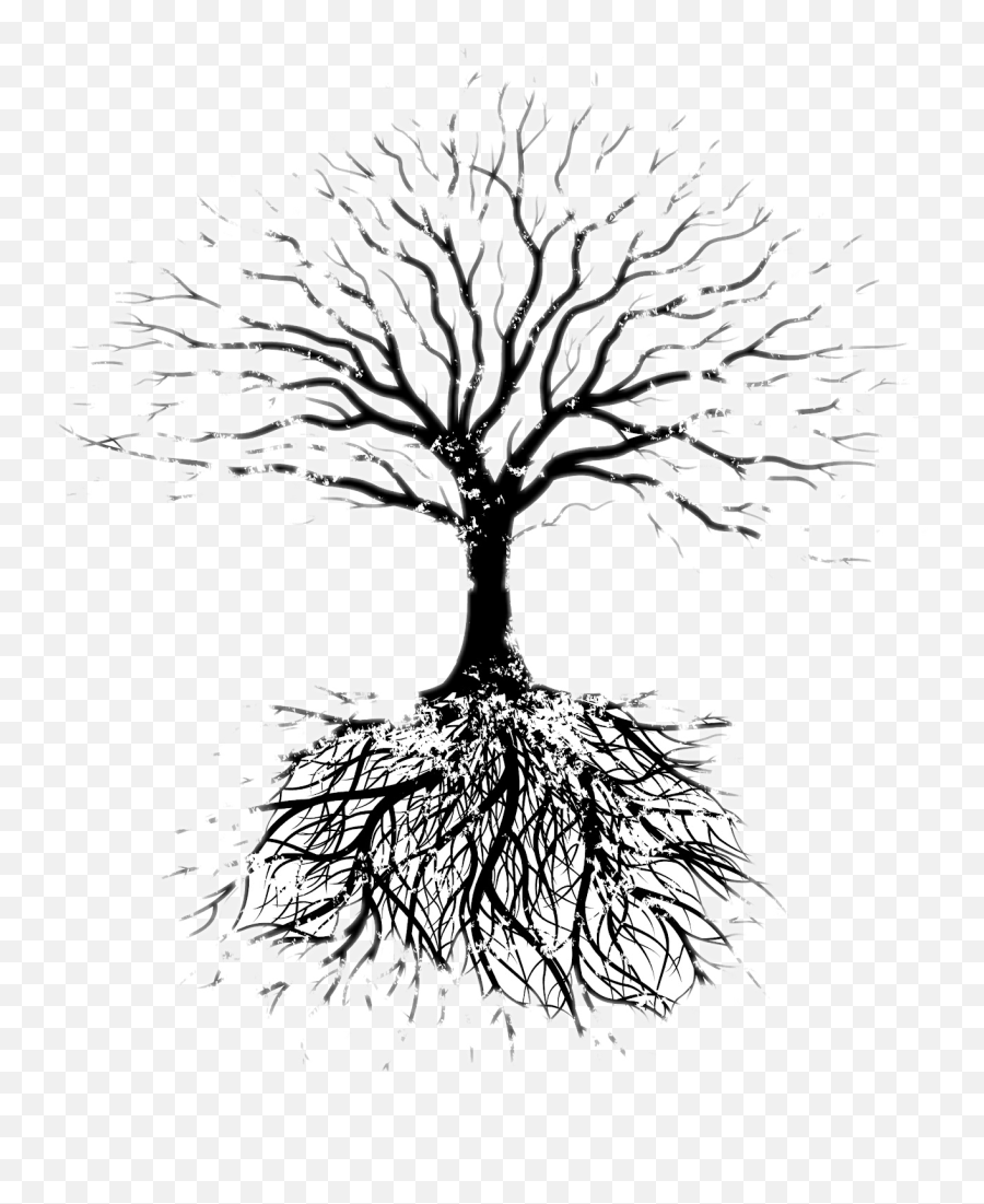 Popular And Trending Sketchy Stickers Picsart - Dead Tree With Roots Png Emoji,Sketchy Emoji