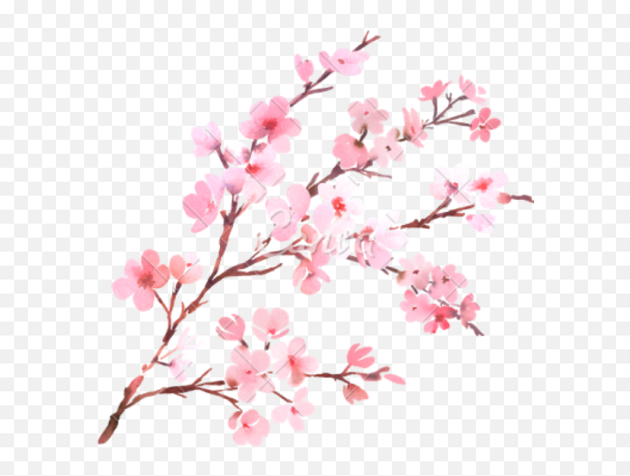 Trending - Cherry Blossom Tree Branch Emoji,Cherry Blossom Emoji