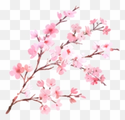 Trending - Cherry Blossom Tree Branch Emoji,Cherry Blossom Emoji