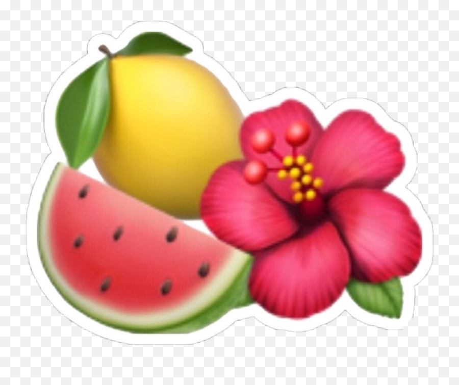 Download Lemon Watermelon Emoji Tumblr - Hibiscus Flower Emoji Png,Lemon Emoji