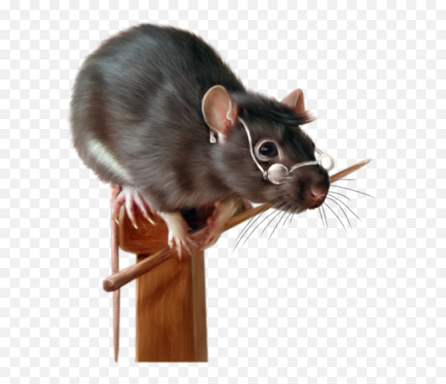 Ftestickers Stickers Mouse Rat Sticker - Rat Painting Emoji,Mice Emoji