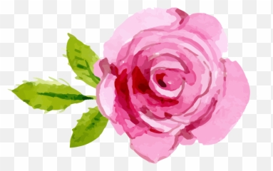 Free Pink Rose Transparent Background - Watercolor Pink Rose Clipart Emoji,Pink Rose Emoji