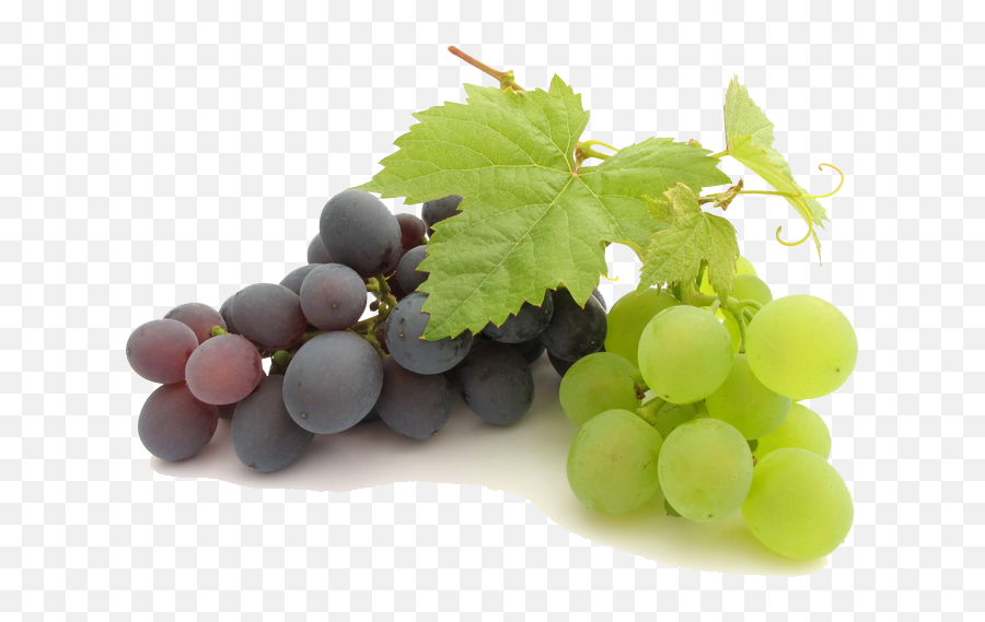 Uvas Png Transparent Background Grapes Clipart Png - Clip Grapes Transparent Png Emoji,Grapes Emoji Transparent