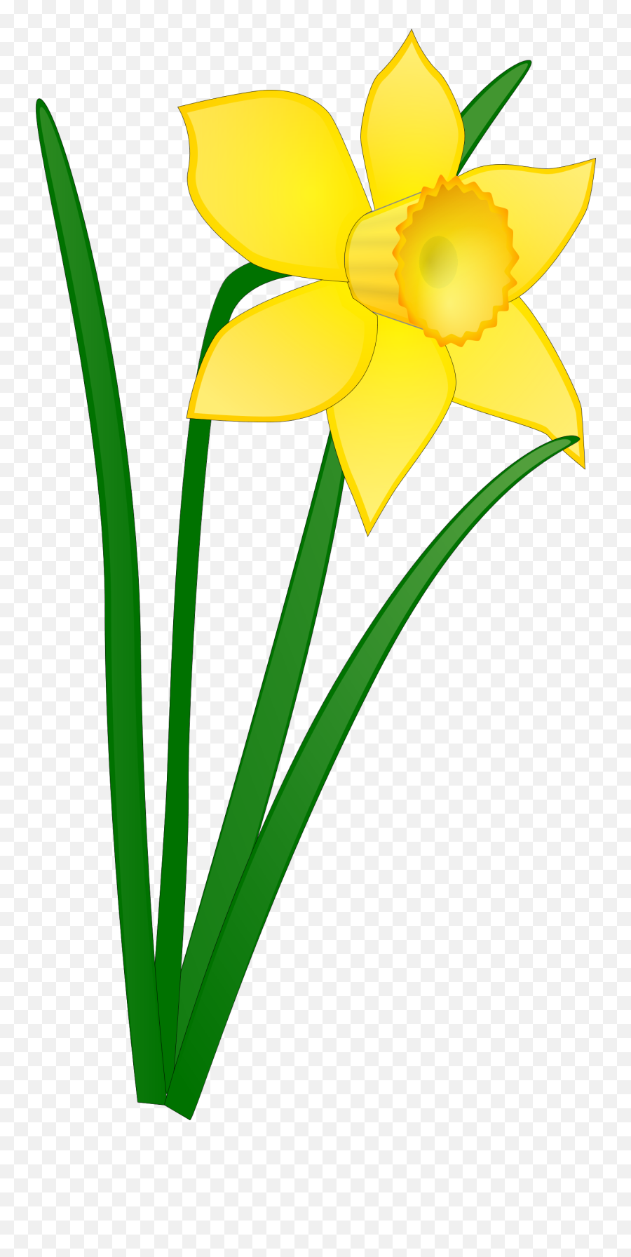 Green Leaves Daffodil Drawing - Clip Art Daffodil Emoji,Daffodil Pink Emotion