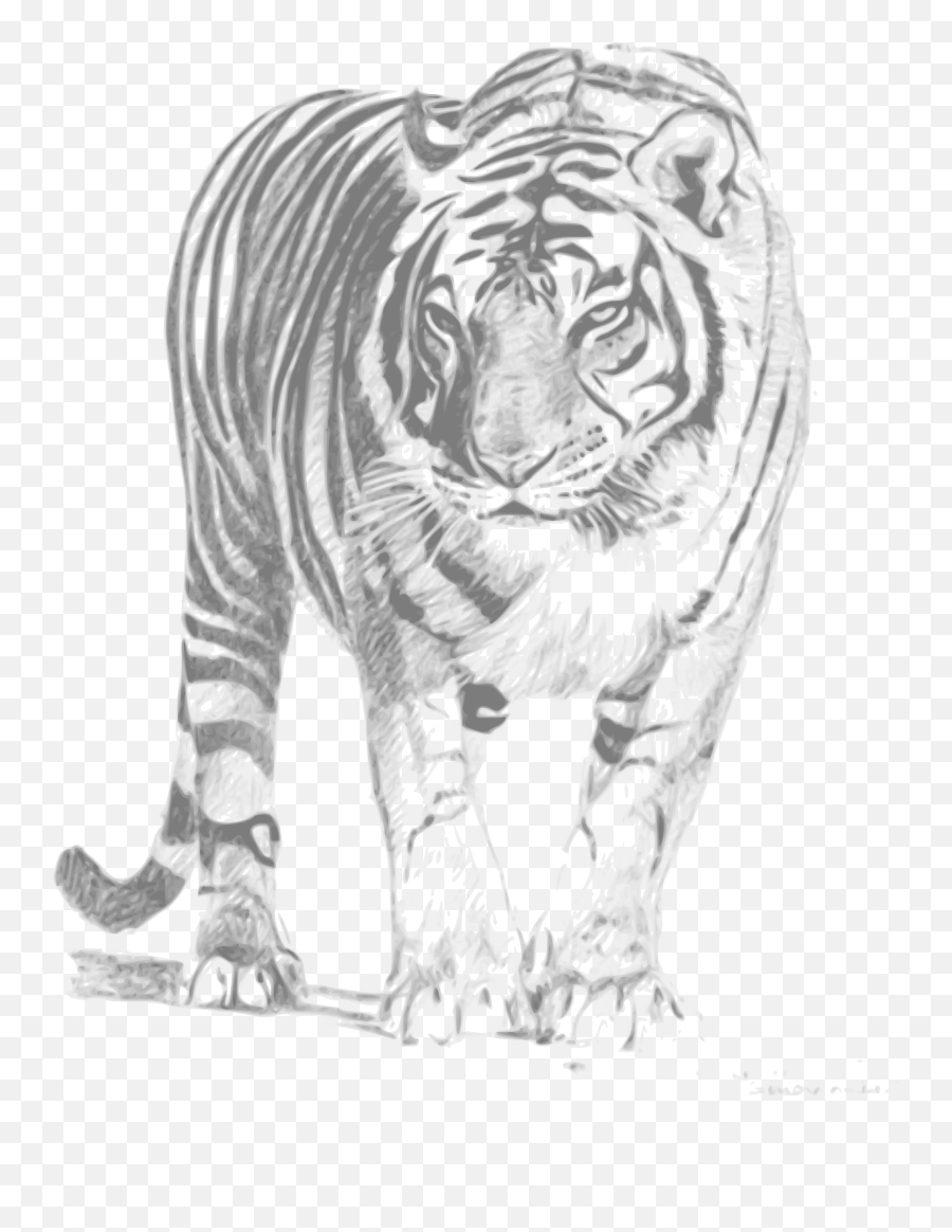 Line Drawing Of Bengal Tiger Peepsburgh - Sketch Royal Bengal Tiger Emoji,Cool Emojis Animals Coloring Page