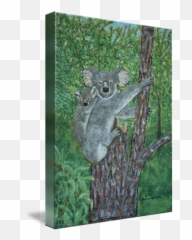 Koalas In A Tree Painting By Linda Hammar - Del Favero Emoji,Oil Painting Tree Emotion