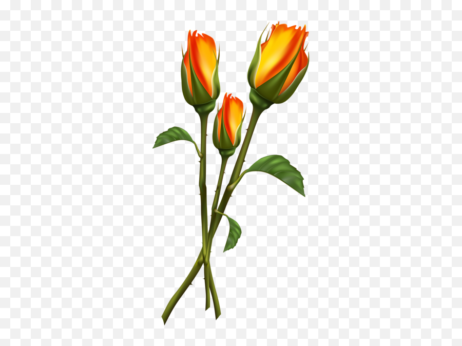 Flower Images Watercolor Flowers - Tulip Beautiful Flower Drawing Emoji,Boquet Emoji
