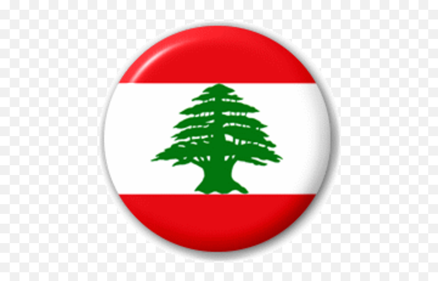Small 25mm Lapel Pin Button Badge - Lebanese Flag Pin Emoji,Hawaiian Flag Emoji