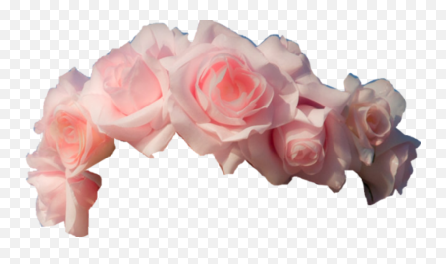 Pink Flowe Sticker - Transparent Flower Crown Emoji,Flowe Emoji