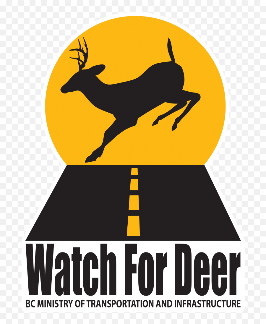 Rutting Season Is Here Watch For Deer Tranbc - Language Emoji,Deer In Headlights Emoji