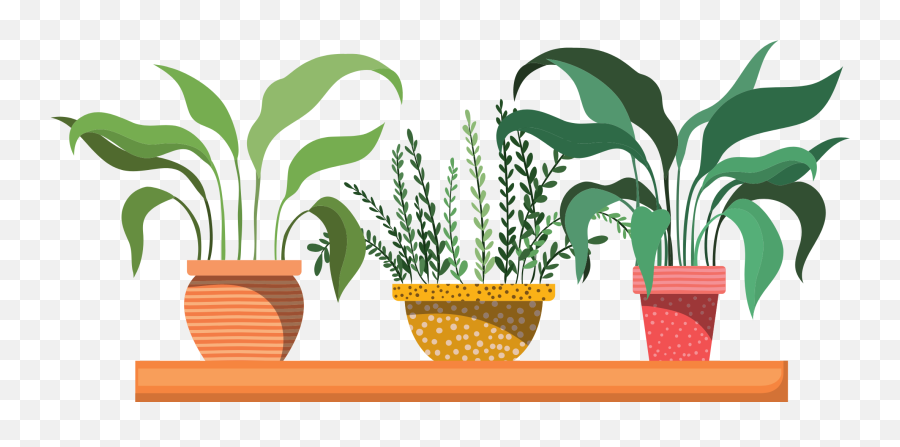 About U2014 Studio K8ki - Vector Habitacion Emoji,Green And Plants Indoor Effect On Human Emotion