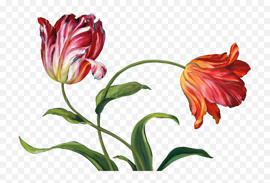 Tulips Transparent Png Image - Freepngdesigncom China Painting Flowers Emoji,Paint Palette Emoji