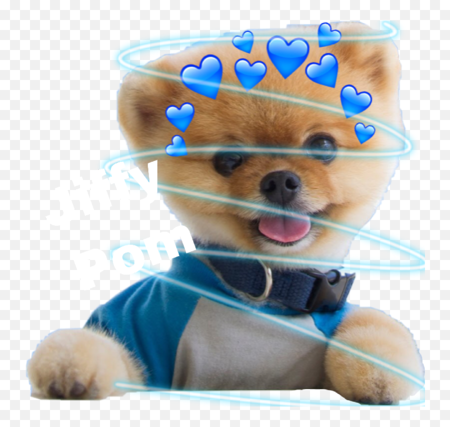 Largest Collection Of Free - Toedit Pom Stickers On Picsart Emoji,Pomsky Emoji