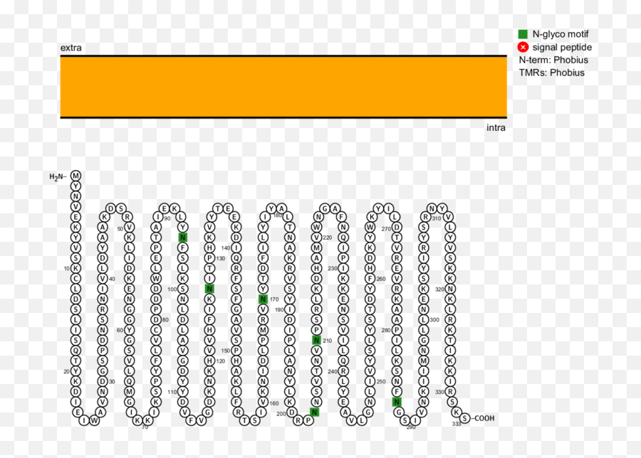 1716 Questions With Answers In Proteins Science Topic - Protein Transmembrane Prediction Emoji,Guess The Emoji Level 15answers