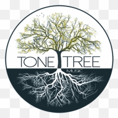 Nashville Artist Management Blog Olivia Management - Tone Tree Music Emoji,Doja Cat Play With My Emotions Lyrics
