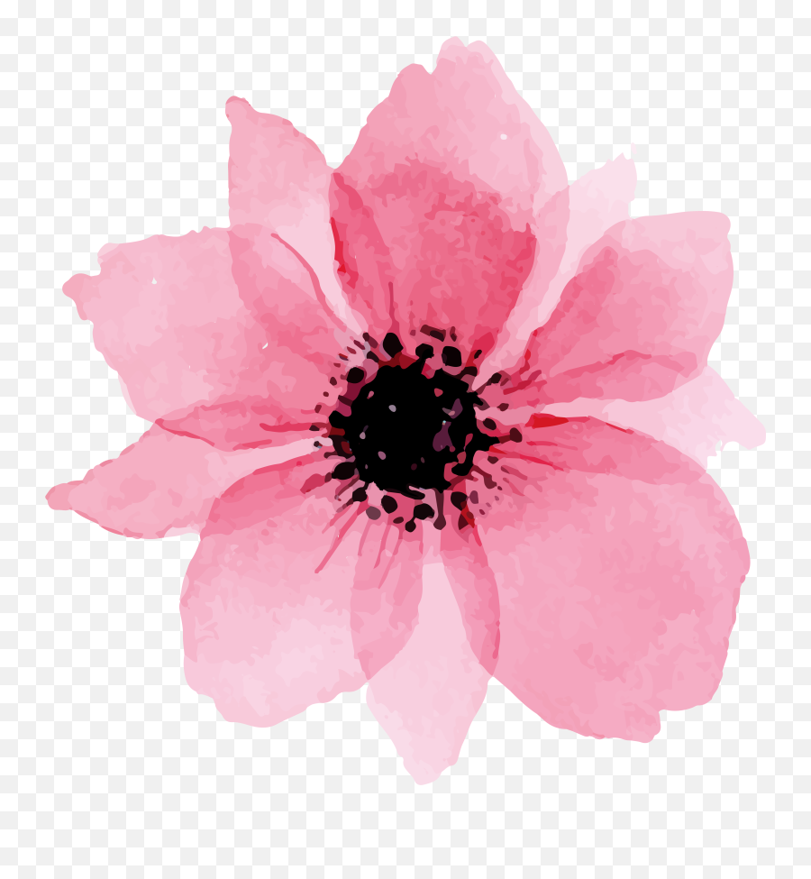 Euclidean Vector - Pink Lovely Watercolor Flowers Png Vector Watercolour Flower Png Emoji,Flower Emoji Vector