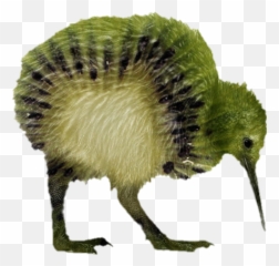 Kiwi Pajaro Bird Sticker - Kiwi Animal E Fruta Emoji,Kiwi Bird Emoji