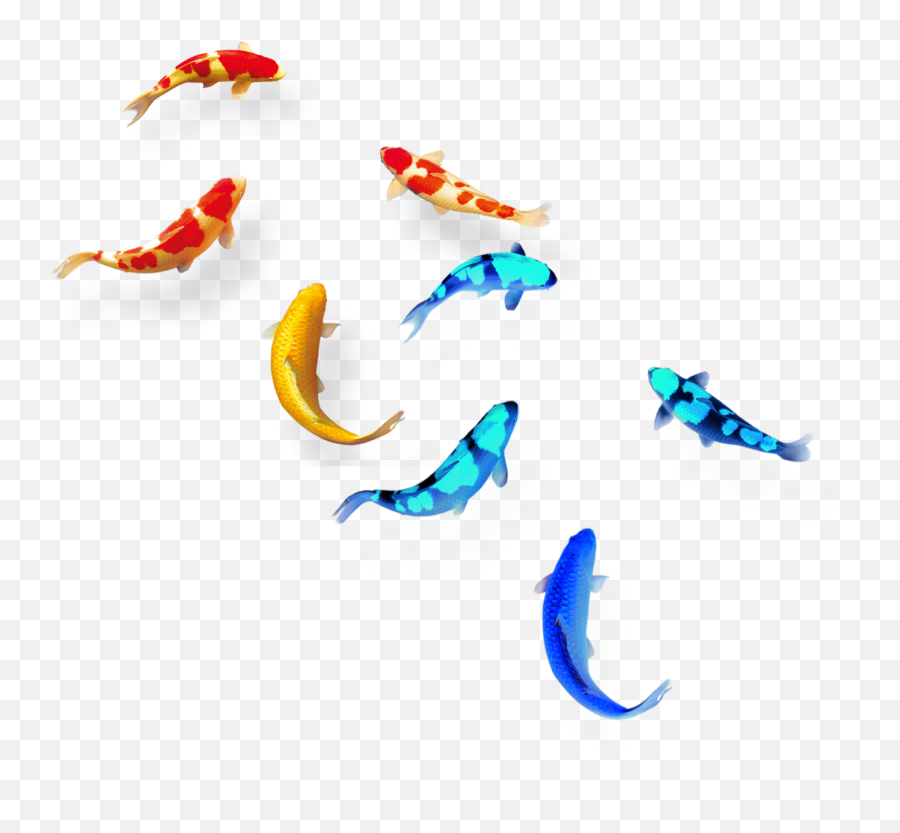 Mq Red Blue Fish Swiming Koifish Sticker By Marras Emoji,Swiming Emoji