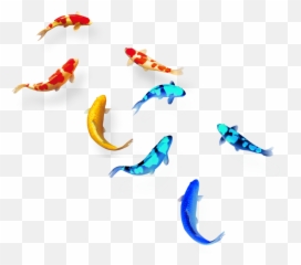 Mq Red Blue Fish Swiming Koifish Sticker By Marras Emoji,Swiming Emoji