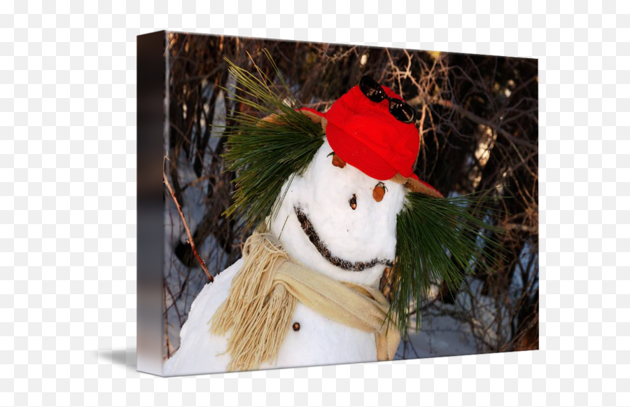 Cool Snowman - Costume Hat Emoji,Snowman Emotions