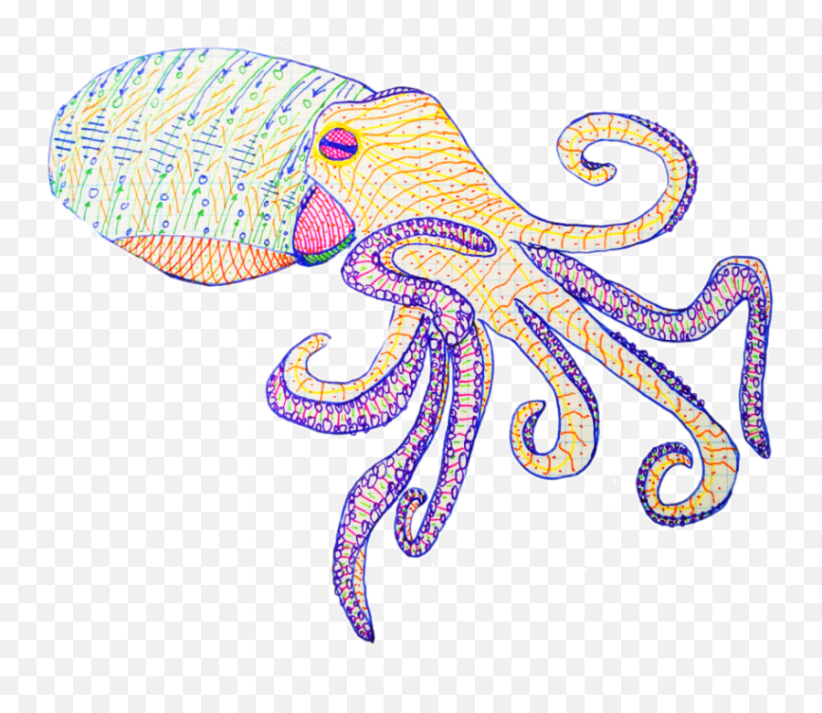 Octopus Fighting - California Two Spot Octopus Sketch Emoji,Octopus Changing Color To Match Emotion