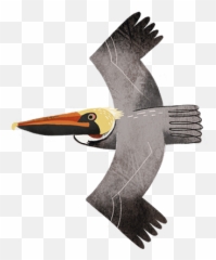 Texas Birds Sticker Pack By Texas Parks U0026 Wildlife Emoji,Iphone Orioles Emojis