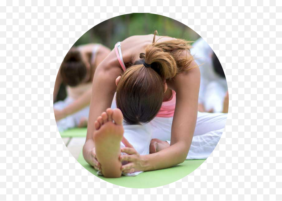 Bronxville Wellness Sanctuary - Bronxville Wellness Sanctuary Emoji,Yoga Hips And Emotions