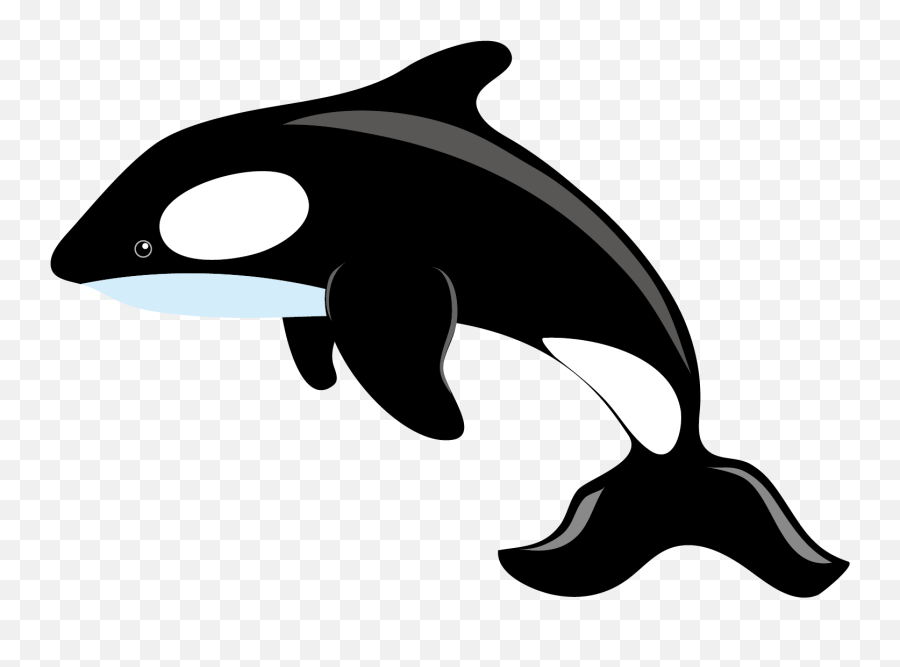 Killer Whale Blue Whale Clip Art - Killer Whale Clipart Emoji,Killer Whale Emoji