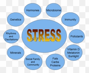 Is Autism A Stress Adaptation U2013 Peripheral Minds Of Autism - Dot Emoji,Dr Bradley Nelson Emotion Code Facebook