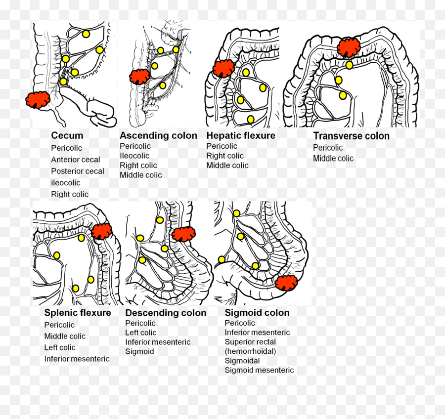 Language Emoji,Emotions Of The Splenic Flexure