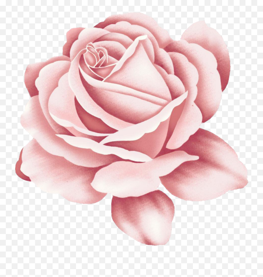 Download Pink Rose Tattoo Free Clipart - Rose Design Emoji,Rose Emoticon For Tatto
