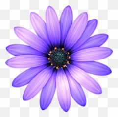 Single Flower Png Images Free - Png Clipart Daisy Flower Png Emoji,Emojis Flower Omg