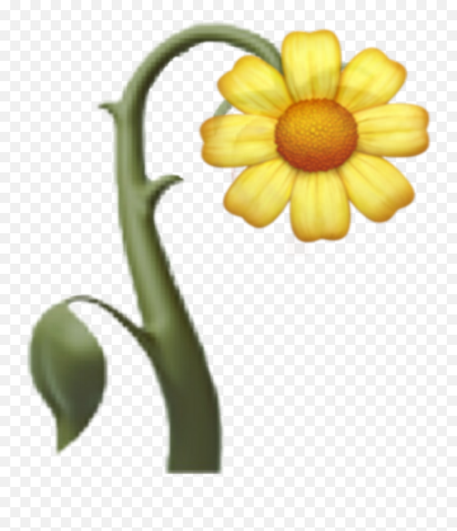 Flower Emoji Emojis Yellow Sticker - Lovely,Daisy Emoji