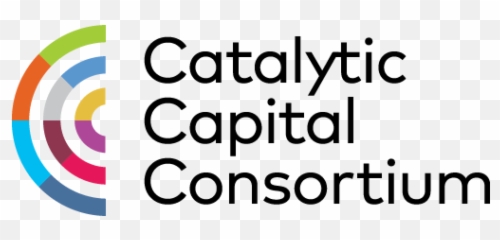 Catalytic Capital Archives - Impactalpha Emoji,26 Action Units Emotion
