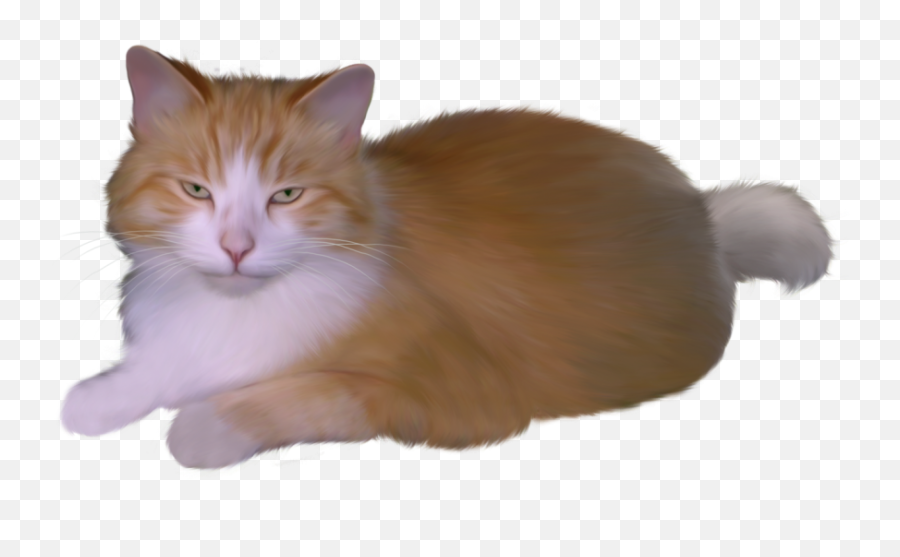 Cat Png Transparent Image - Freepngdesigncom Emoji,Kissing Cat Emoji