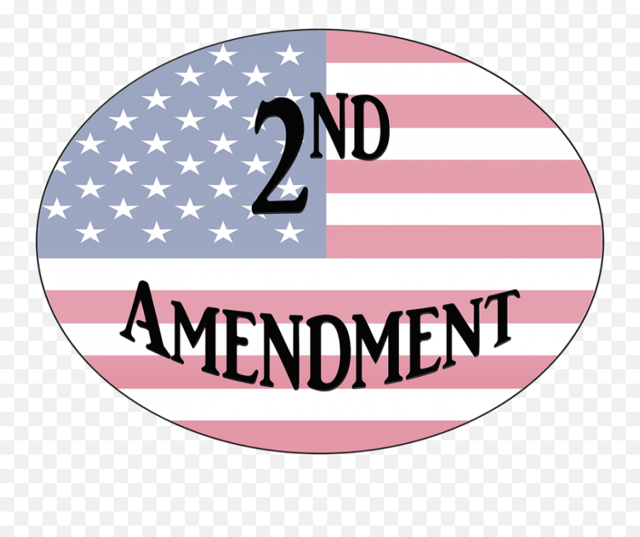 Gun Violence Lesson Plans And Resources Share My Lesson - 2nd Amendment Logo Transparent Emoji,Estar With Emotions Worksheet